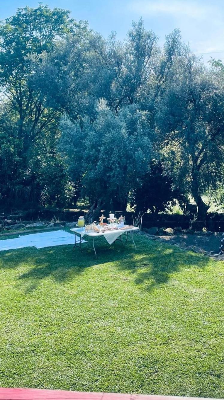 Casa Nova Das Oliveiras ブラガ エクステリア 写真